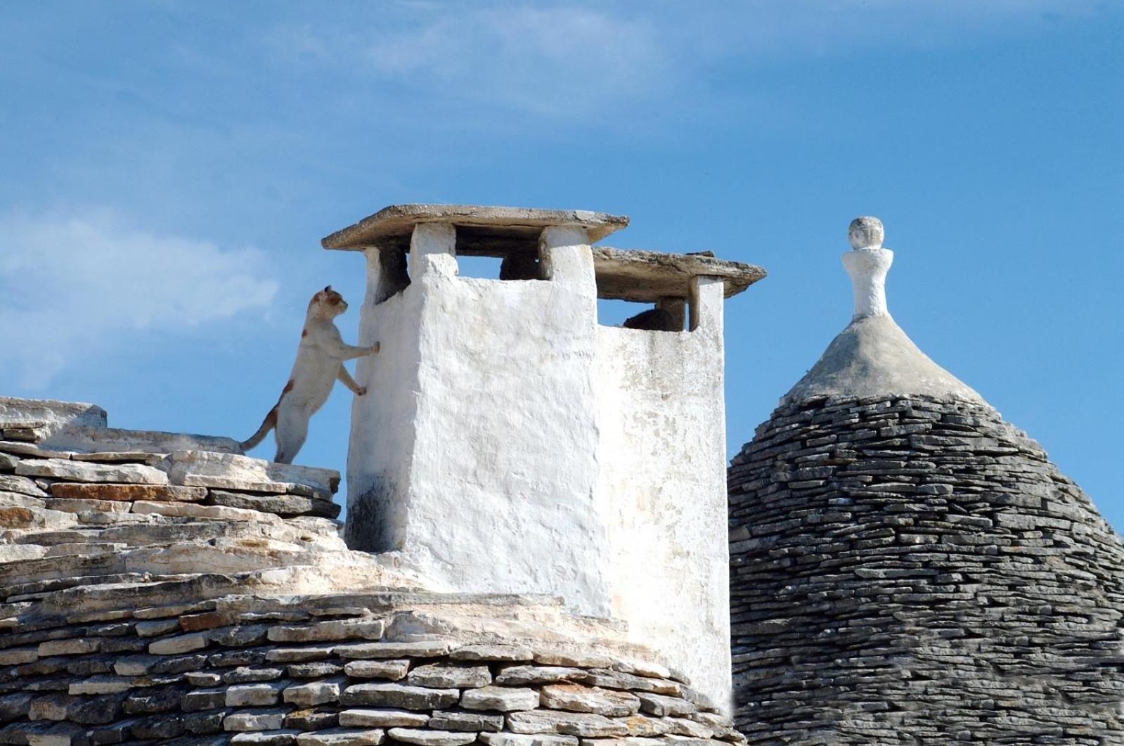 B&B Corso Trieste E Trento Alberobello Exterior foto